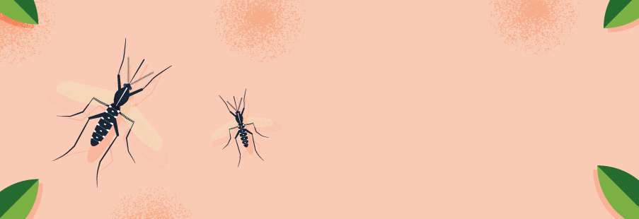 Dengue – Come prevenirla punto per punto